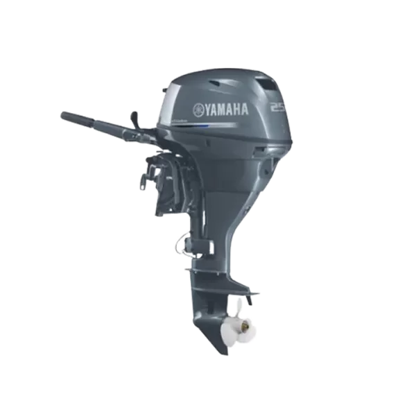 Yamaha Motor F25 Dmhs