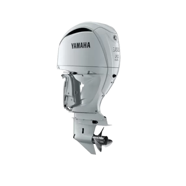 Yamaha Motor F300 Fetx