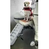 Paws-Up Tekne Köpek Merdiveni