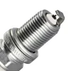 WEBER MOTOR RC7PYCX