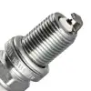 WEBER MOTOR RC7PYCX