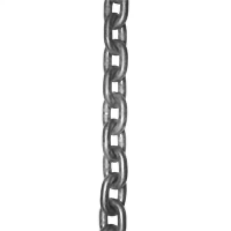 Lalizas 72062 Chain Hot-dip Galvanized Dın5685a Diam 10mm Genovese