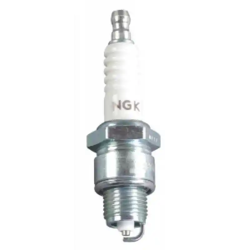 Ngk Buji