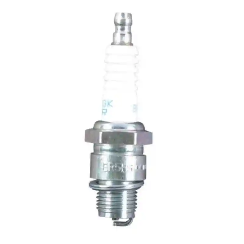 Ngk Buji