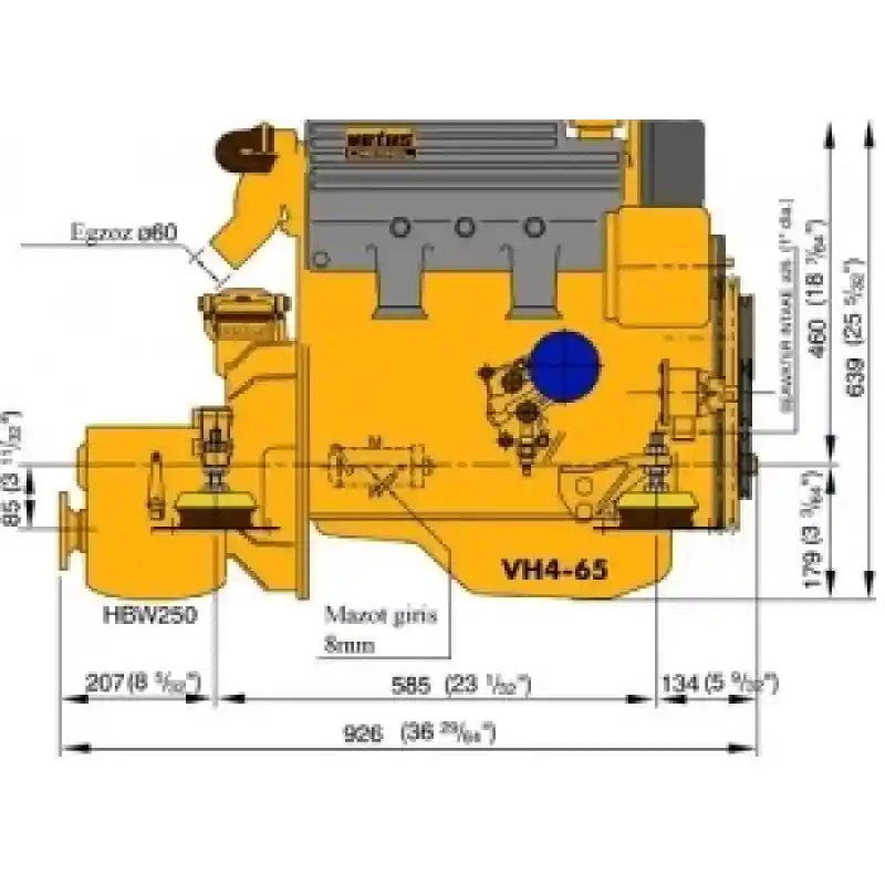 Vh4-65