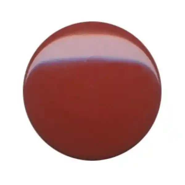 Fasnap Çıtçıt Üst Parçası