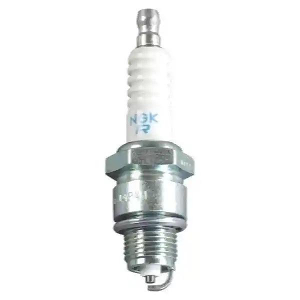 Ngk Buji
