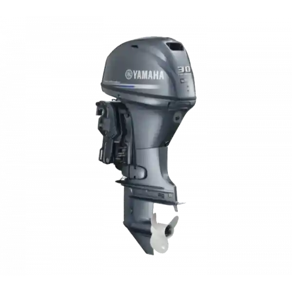 Yamaha Motor F30 BETS