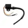 18-23207 Mercury Ateşleme Bobini
