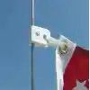 Bayrak bağlama klipsi PLASTİK