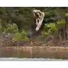 Cwb Wakeboard. Model Vibe