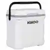 Igloo Buzluk