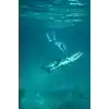 Jobe Sea Scooter Infinity
