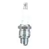 Ngk Buji