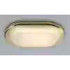 Sea World Phad Led Gömme Lamba
