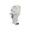 Yamaha Motor F425 AETX