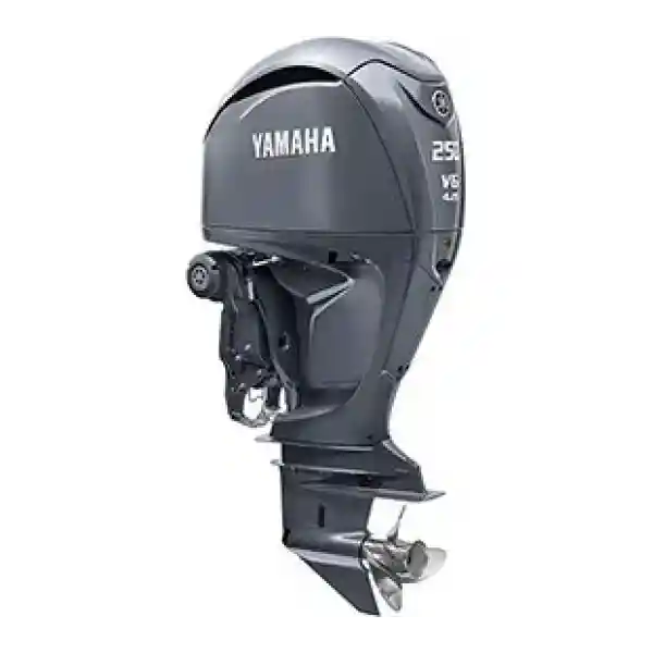 Yamaha Motor F250 PETN