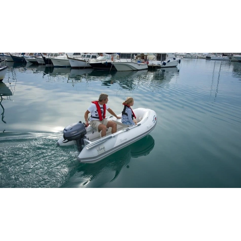 Yamaha 6 HP Uzun Şaft Dıştan Takma Motor