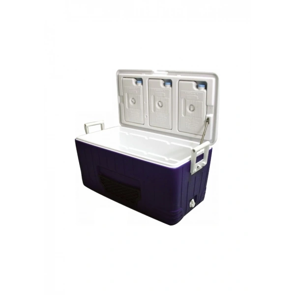 Lalizas Portatif Buzluk 80 Litre