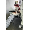 Paws-Up Tekne Köpek Merdiveni