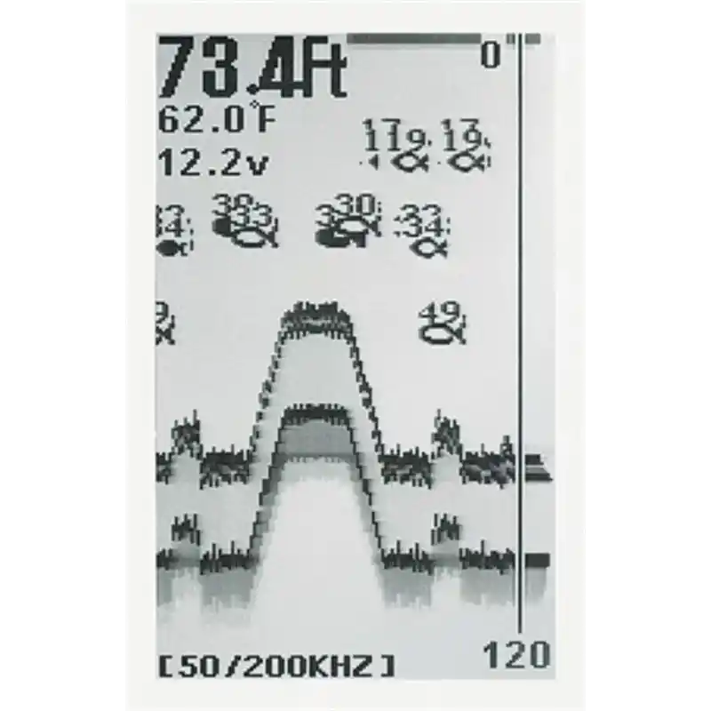 Condor 245 DF Balık Bulucu