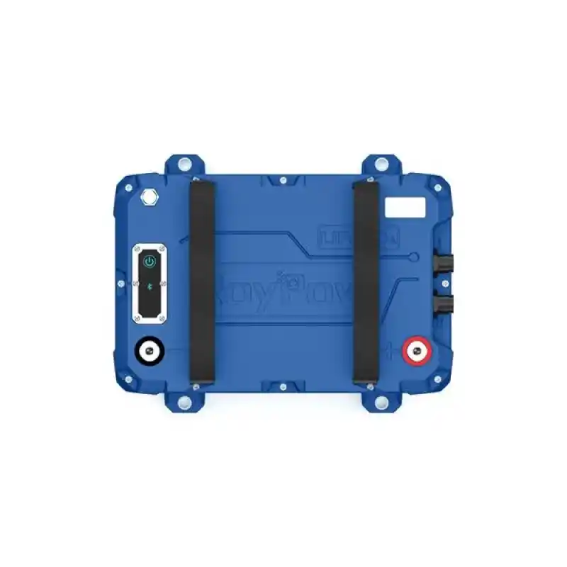 RoyPow LifePO4 24V/100A Trolling Motor Aküsü