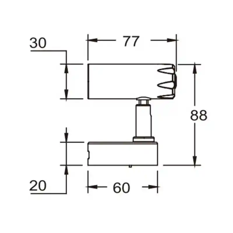 Sea World Kuma Okuma Lambası