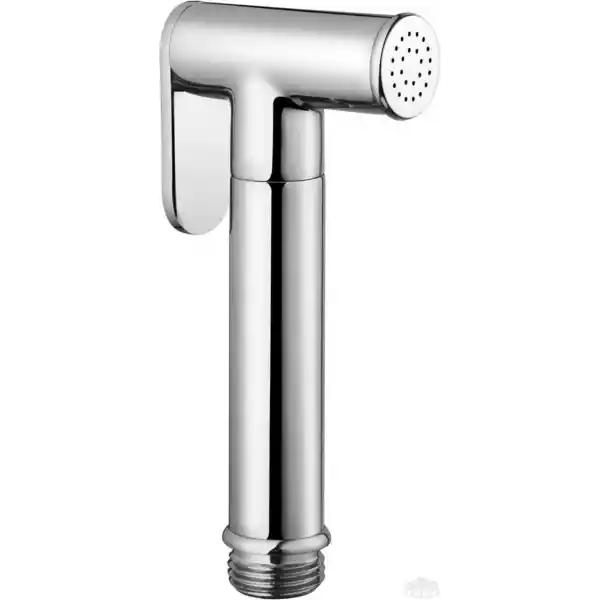 Trem Duş Başlığı, kromaj