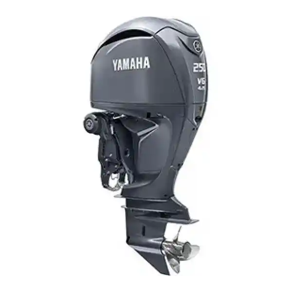 Yamaha Motor F250 PETN