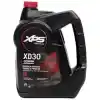 XPS Evinrude Johnson XD30 2 Zamanlı Motor Yağı 3,78 Lt.