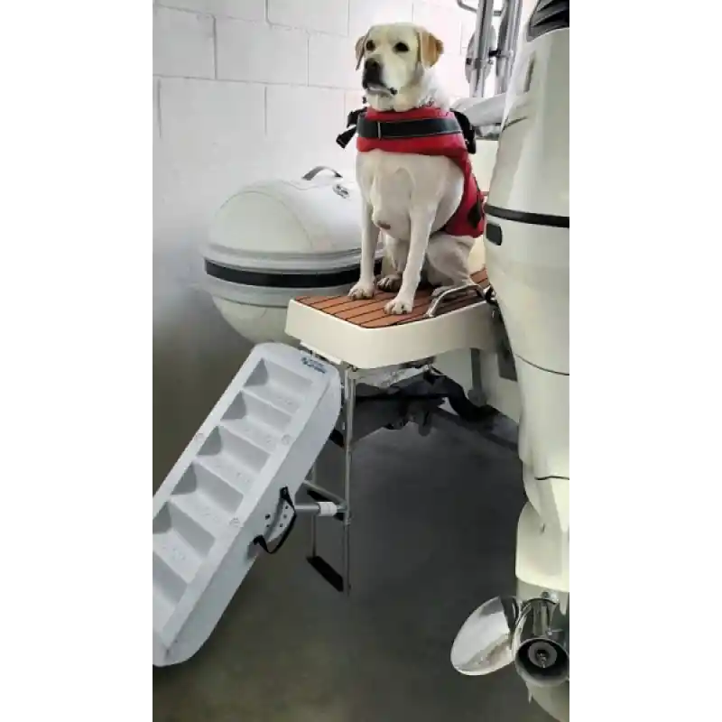 Paws-up Tekne Köpek Merdiveni