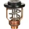 18-3632 Yamaha Termostat