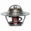 807252t 2 Mercruıser Termostat