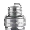 Champion Buji J6C