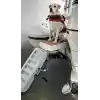 Paws-up Tekne Köpek Merdiveni