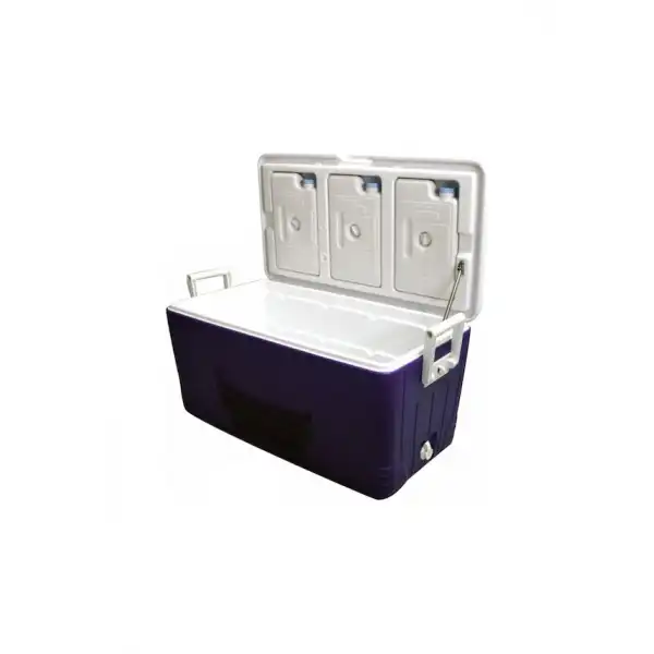 Lalizas Portatif Buzluk 80 Litre