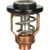 18-3632 Yamaha Termostat