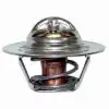 807252t 2 Mercruıser Termostat