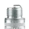 Champion Buji D16