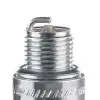 Champion Buji QL77JC4 - Mariner / Mercury Motorları İçin