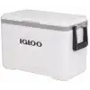 Igloo Buzluk