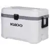 Igloo Buzluk