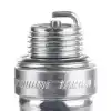 Champion Buji J6C