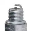 Champion Buji QL77CC - Mariner / Mercury Motorları İçin