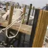 Shurhold Dock-A-Reni