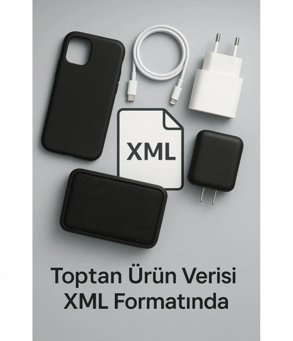 1 YILLIK ONLİNE ÇIKTI HİZMETİ/XML