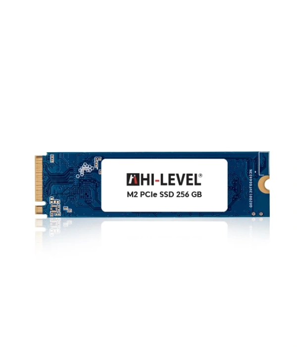 256GB HI-LEVEL HLV-M2PCIeSSD2280/256G NVMe SSD