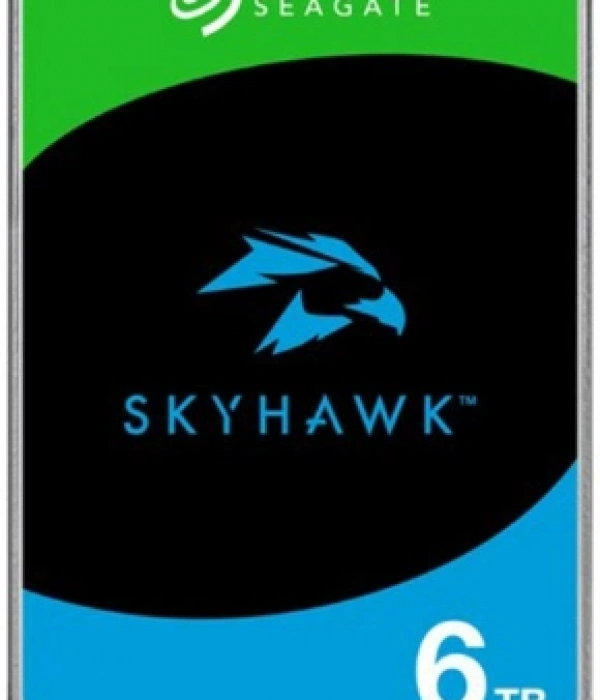 6TB SEAGATE SKYHAWK 256MB 7/24 RV ST6000VX009