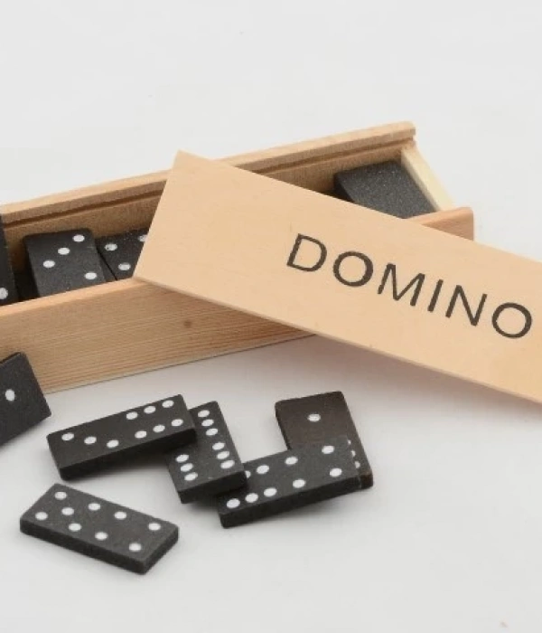 Ahşap Kutulu Domino Alk4019