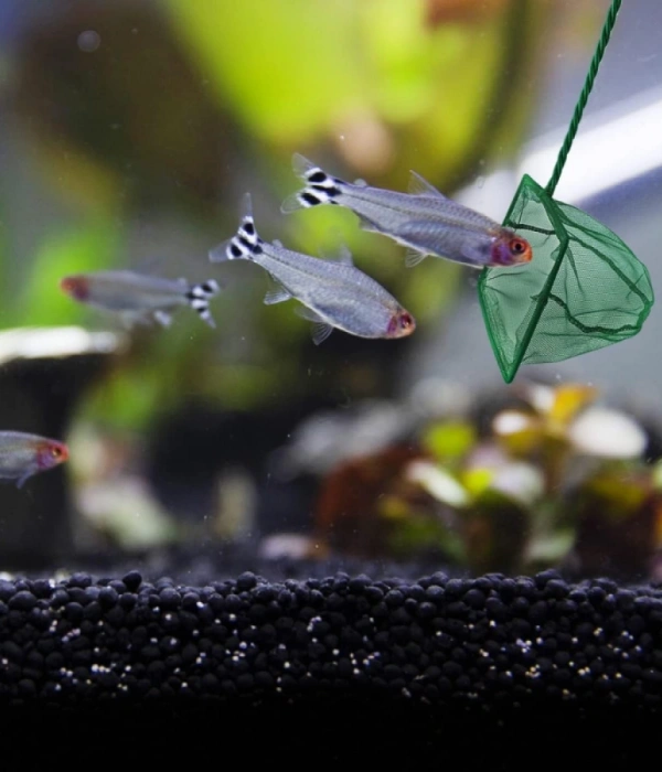 Akvaryum Balık Kepçesi 15 Cm